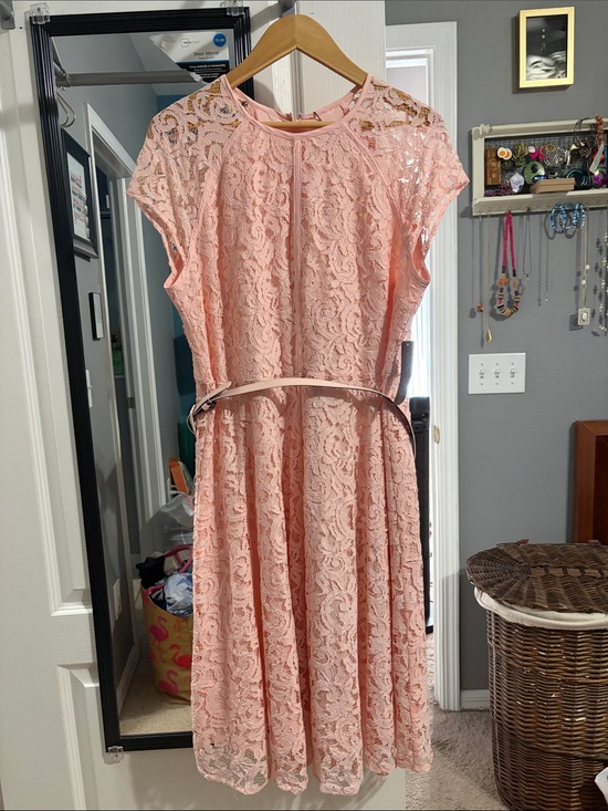 New York & Company Dresses & Skirts - Eva Mendes New York & Company Blush Pink Lace Midi Dress with Belt